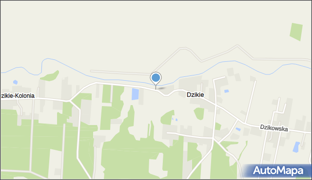 Dzikie gmina Choroszcz, Dzikie, mapa Dzikie gmina Choroszcz