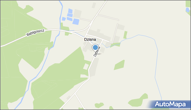 Dzisna, Dzisna, mapa Dzisna