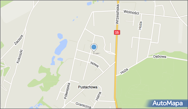 Gniezno, Dzieci Wrzesińskich, mapa Gniezna