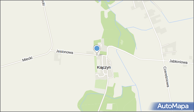 Kiączyn, Działkowa, mapa Kiączyn