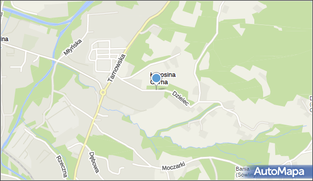 Limanowa, Dzielec, mapa Limanowa