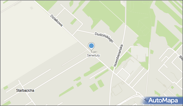 Skierniewice, Działkowa, mapa Skierniewic