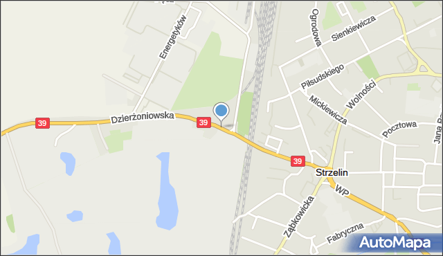 Strzelin, Dzierżoniowska, mapa Strzelin