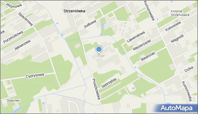 Strzeniówka, Dziewanny, mapa Strzeniówka