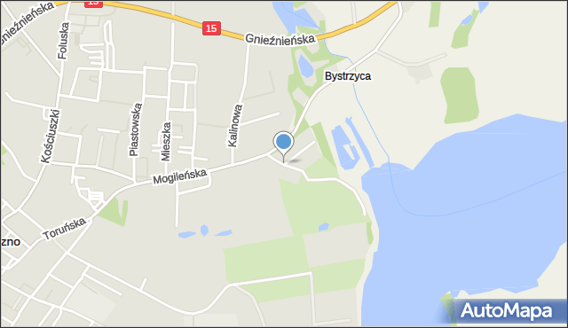 Trzemeszno powiat gnieźnieński, Działkowa, mapa Trzemeszno powiat gnieźnieński