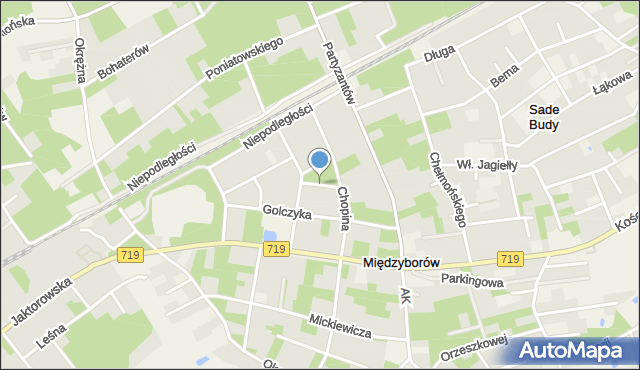 Międzyborów, Elsnera, mapa Międzyborów