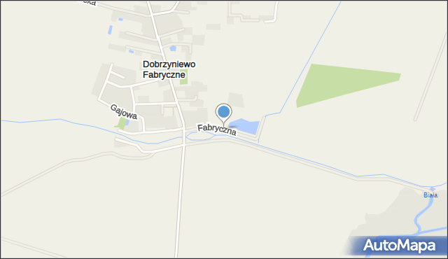 Dobrzyniewo Fabryczne, Fabryczna, mapa Dobrzyniewo Fabryczne