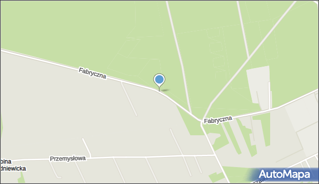 Skierniewice, Fabryczna, mapa Skierniewic