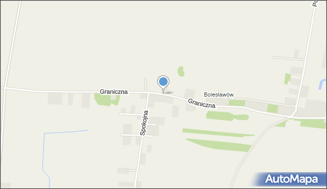 Feliksów gmina Leszno, Feliksów, mapa Feliksów gmina Leszno