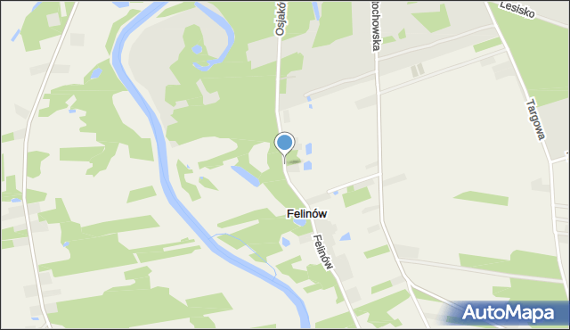 Felinów gmina Osjaków, Felinów, mapa Felinów gmina Osjaków