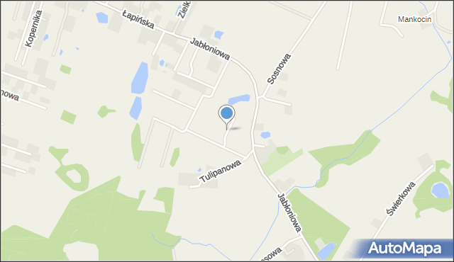 Łapino Kartuskie, Fiołkowa, mapa Łapino Kartuskie