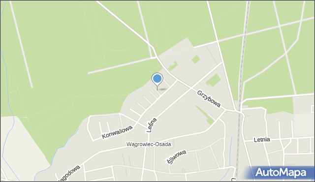 Wągrowiec, Fiołkowa, mapa Wągrowiec