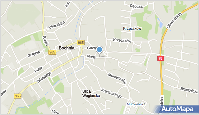 Bochnia, Floris, mapa Bochni