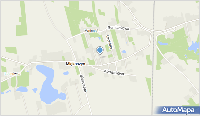 Miękoszynek, Forsycji, mapa Miękoszynek