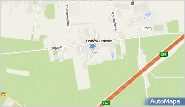 Ostrów gmina Łask, Forsycji, mapa Ostrów gmina Łask