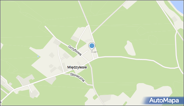 Międzylesie gmina Ostróda, Gajowa, mapa Międzylesie gmina Ostróda
