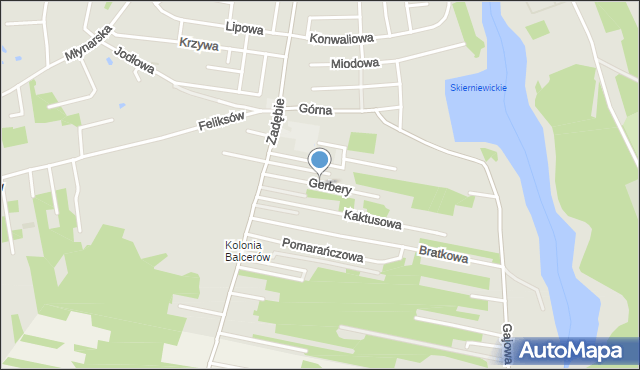 Skierniewice, Gerbery, mapa Skierniewic