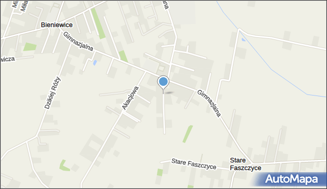Bieniewice, Gimnazjalna, mapa Bieniewice