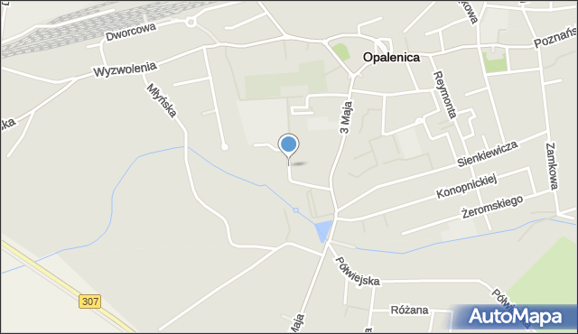 Opalenica powiat nowotomyski, Gimnazjalna, mapa Opalenica powiat nowotomyski