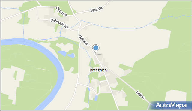 Brzeźnica gmina Dąbie, Główna, mapa Brzeźnica gmina Dąbie