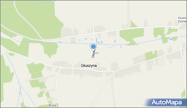 Głuszyna gmina Klwów, Głuszyna, mapa Głuszyna gmina Klwów