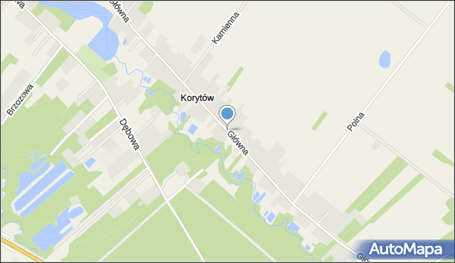 Korytów gmina Radziejowice, Główna, mapa Korytów gmina Radziejowice