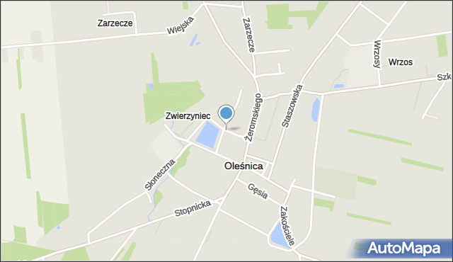 Oleśnica powiat staszowski, Gliniki, mapa Oleśnica powiat staszowski