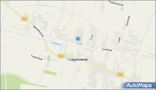 Lesznowola powiat piaseczyński, Gminna, mapa Lesznowola powiat piaseczyński
