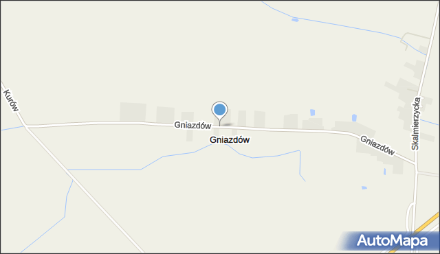 Gniazdów gmina Nowe Skalmierzyce, Gniazdów, mapa Gniazdów gmina Nowe Skalmierzyce