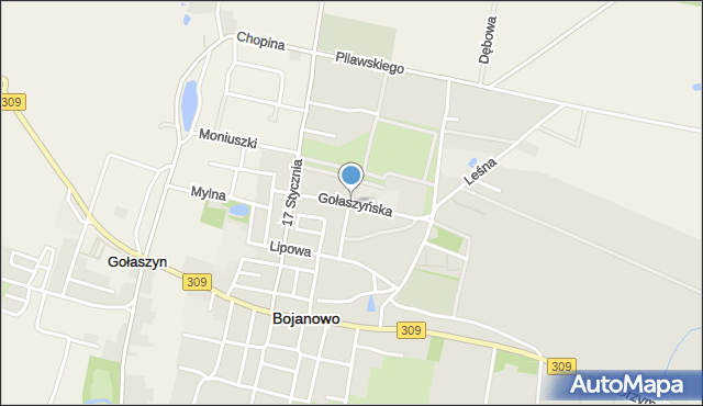 Bojanowo powiat rawicki, Gołaszyńska, mapa Bojanowo powiat rawicki