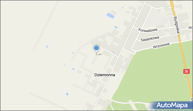 Dziemionna, Górskiego Kazimierza, mapa Dziemionna