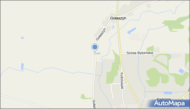 Gołaszyn gmina Nowe Miasteczko, Gołaszyn, mapa Gołaszyn gmina Nowe Miasteczko