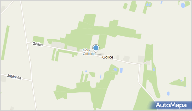Golice gmina Poddębice, Golice, mapa Golice gmina Poddębice