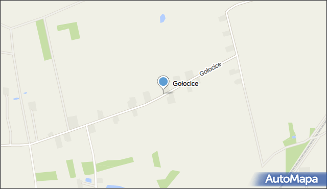 Gołocice, Gołocice, mapa Gołocice