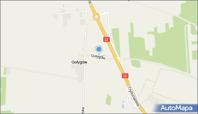 Gołygów, Gołygów, mapa Gołygów