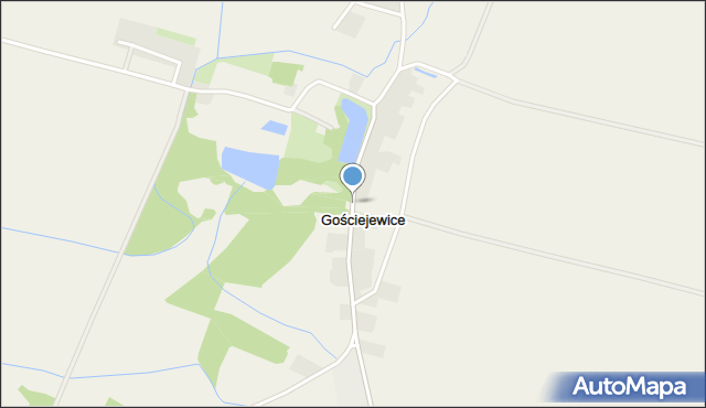 Gościejewice, Gościejewice, mapa Gościejewice