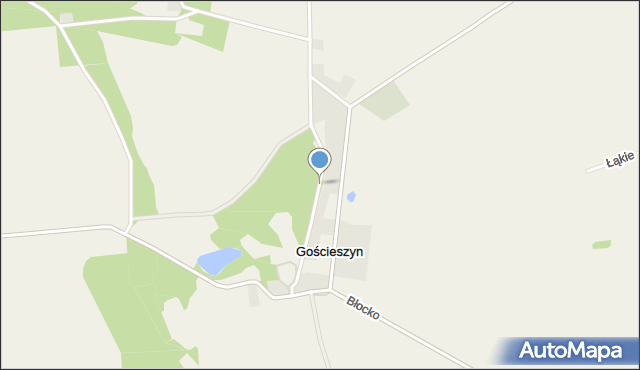 Gościeszyn gmina Wolsztyn, Gościeszyn, mapa Gościeszyn gmina Wolsztyn