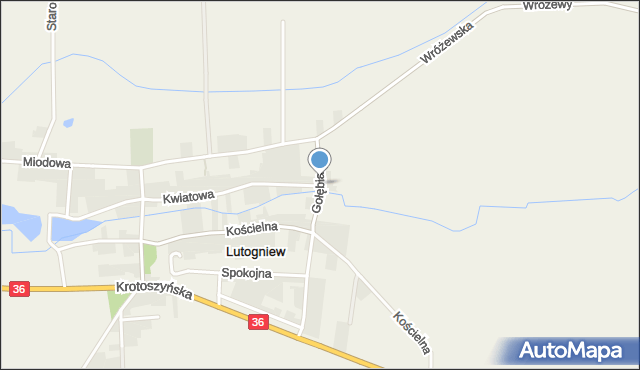 Lutogniew, Gołębia, mapa Lutogniew