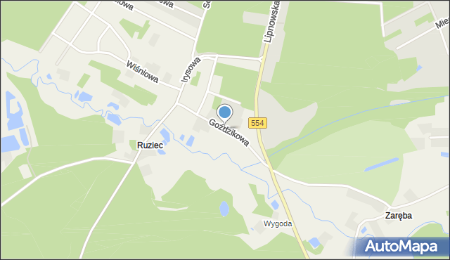 Ruziec, Goździkowa, mapa Ruziec