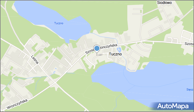 Stęszewko, Goździkowa, mapa Stęszewko