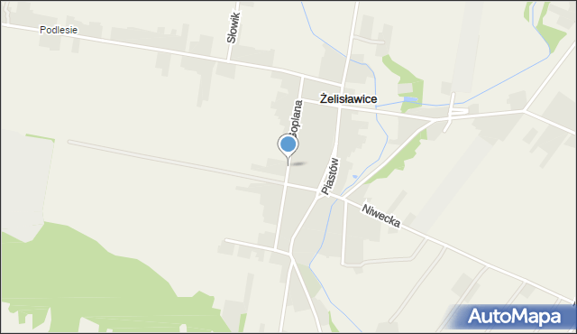 Żelisławice gmina Siewierz, Goplana, mapa Żelisławice gmina Siewierz