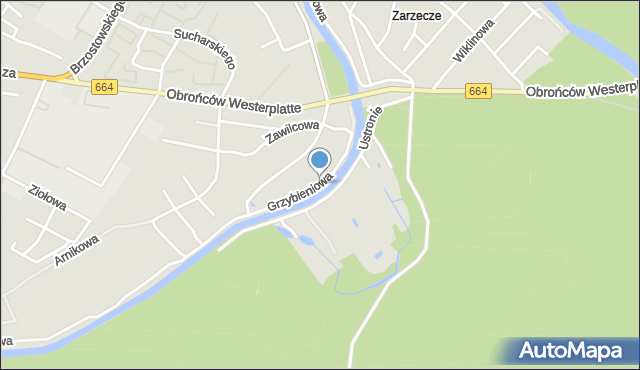 Augustów, Grzybieniowa, mapa Augustów