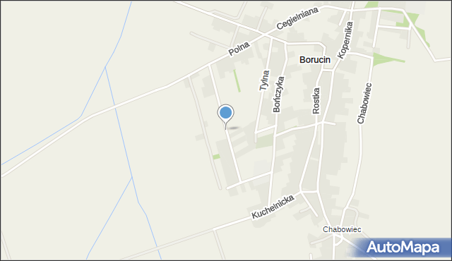 Borucin gmina Krzanowice, Grunwaldzka, mapa Borucin gmina Krzanowice