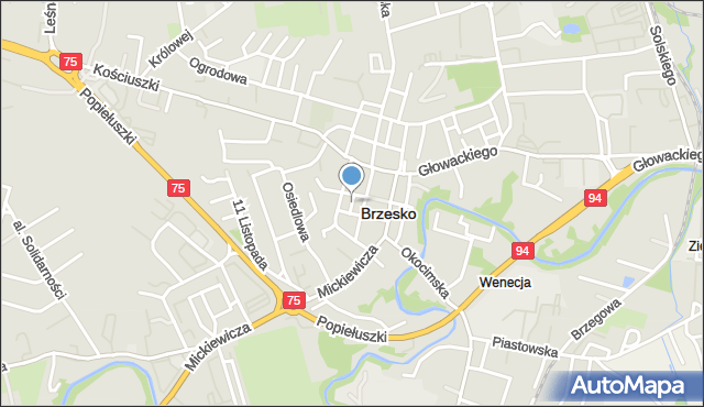 Brzesko, Grunwaldzka, mapa Brzesko