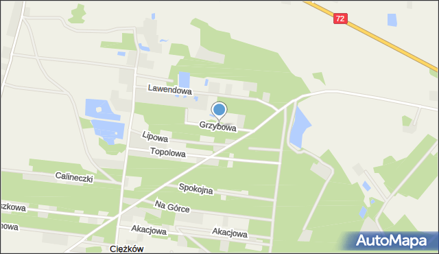Ciężków gmina Aleksandrów Łódzki, Grzybowa, mapa Ciężków gmina Aleksandrów Łódzki