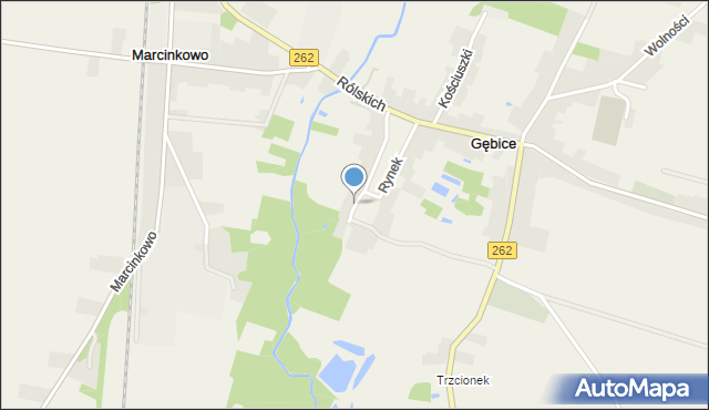 Gębice gmina Mogilno, Greinerta Br., ks., mapa Gębice gmina Mogilno