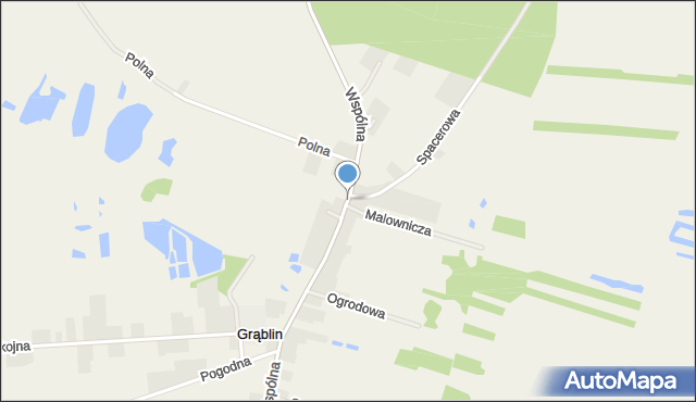 Grąblin, Grąblin, mapa Grąblin