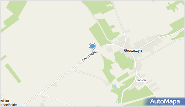 Gruszczyn gmina Krasocin, Gruszczyn, mapa Gruszczyn gmina Krasocin
