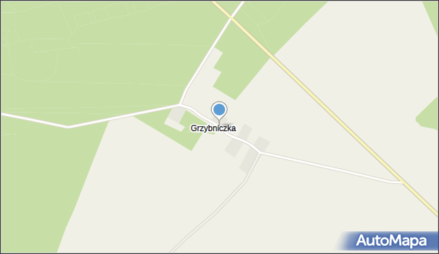 Grzybniczka, Grzybniczka, mapa Grzybniczka