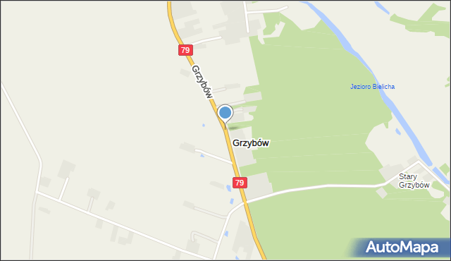 Grzybów gmina Magnuszew, Grzybów, mapa Grzybów gmina Magnuszew